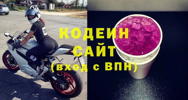 PSILOCYBIN Алзамай