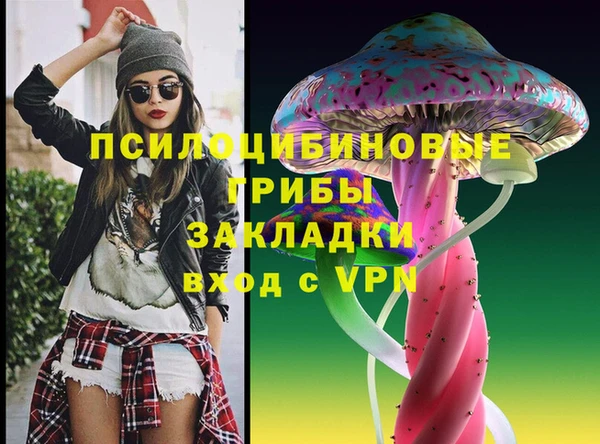 PSILOCYBIN Алзамай