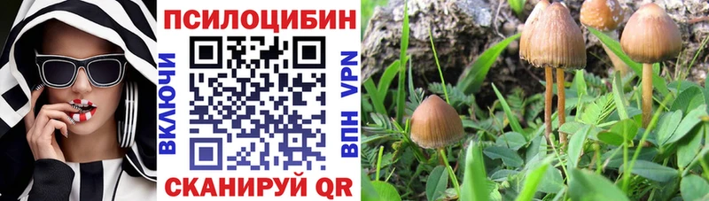 дарнет шоп  Пыталово  hydra ONION  Псилоцибиновые грибы Magic Shrooms 